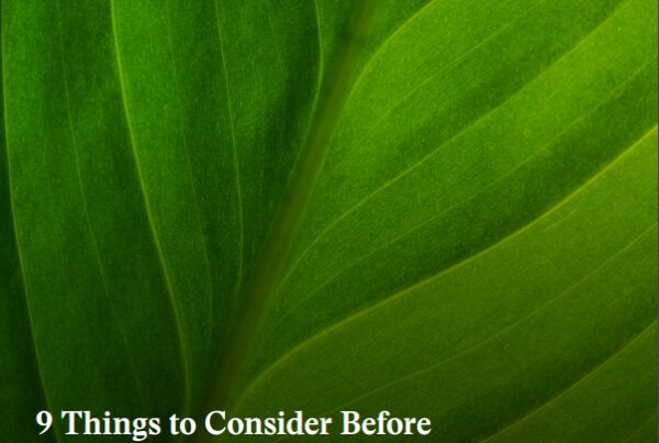 D2L Brightspace 9 Things to Consider Before Making an LMS Switch Viducon